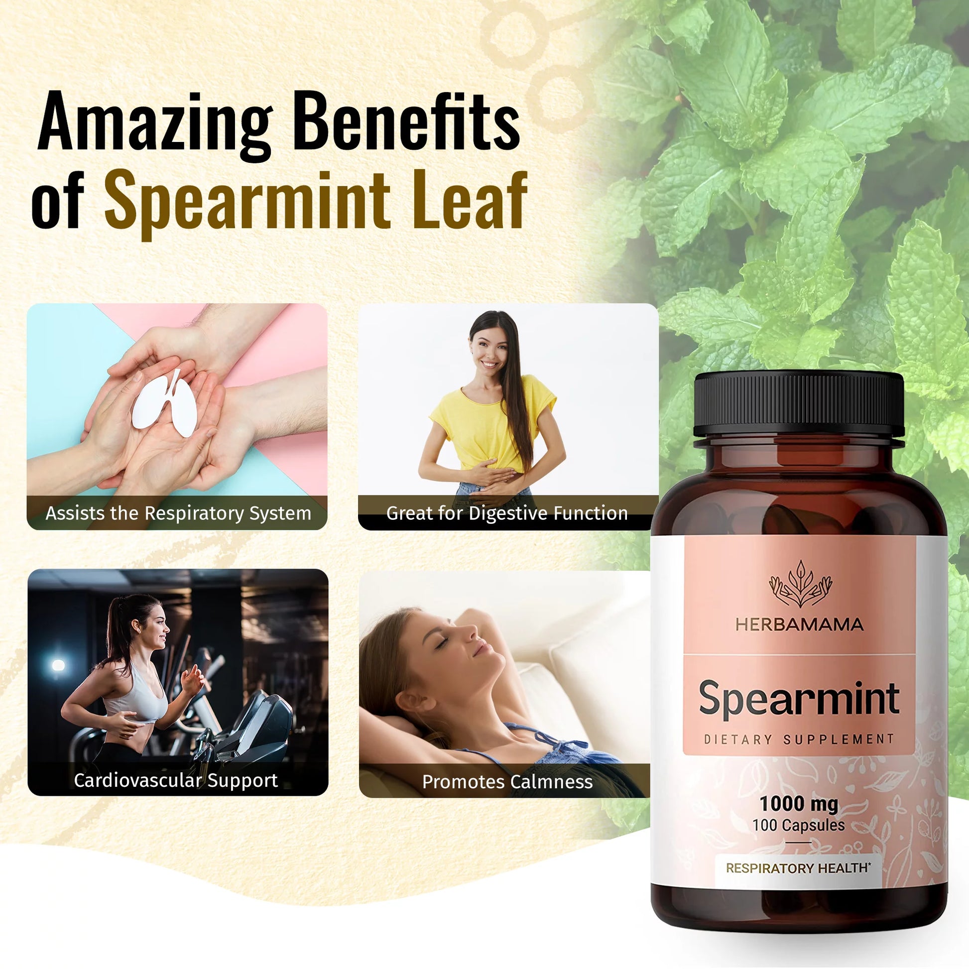Spearmint Leaf - Organic Support for Respiratory & Digestive Health, 100 Caps