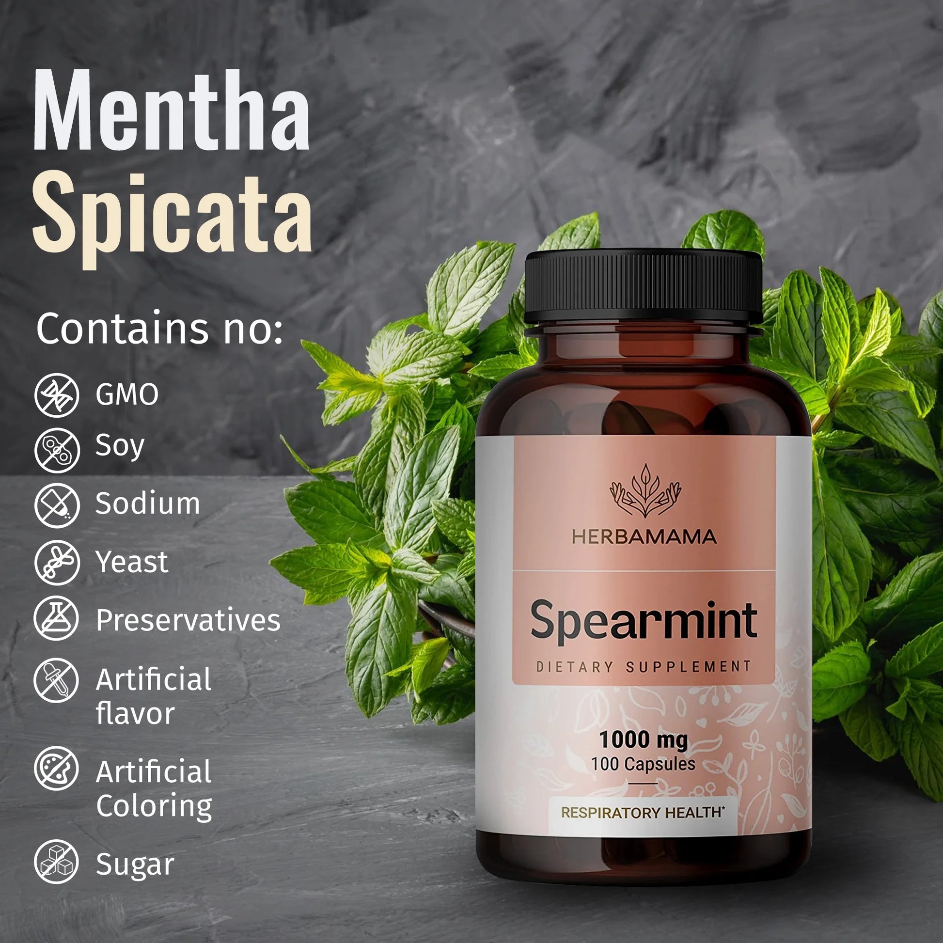 Spearmint Leaf - Organic Support for Respiratory & Digestive Health, 100 Caps