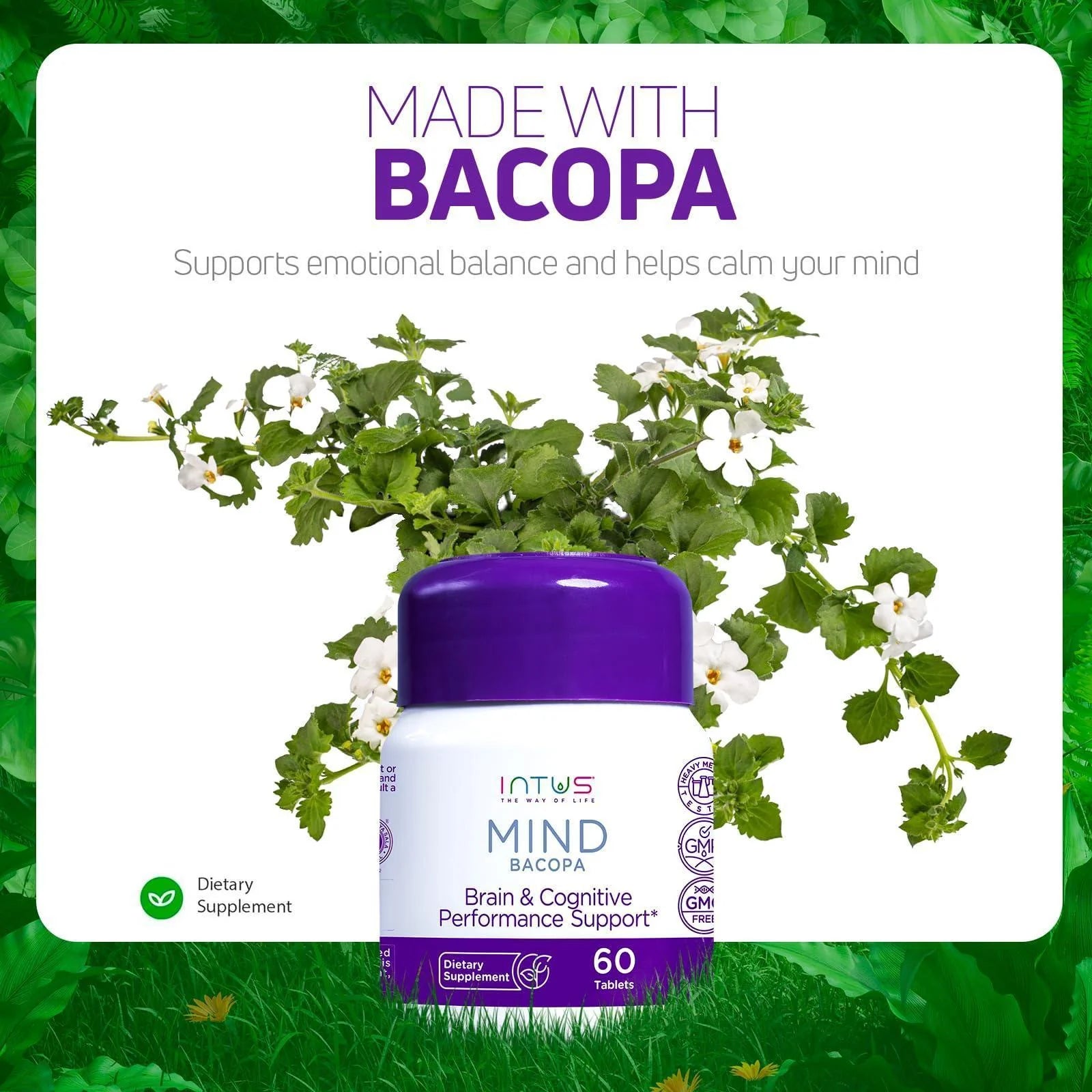 Mind Bacopa Supplement 60 Capsules Ayurvedic Herbal Capsules with Brahmi