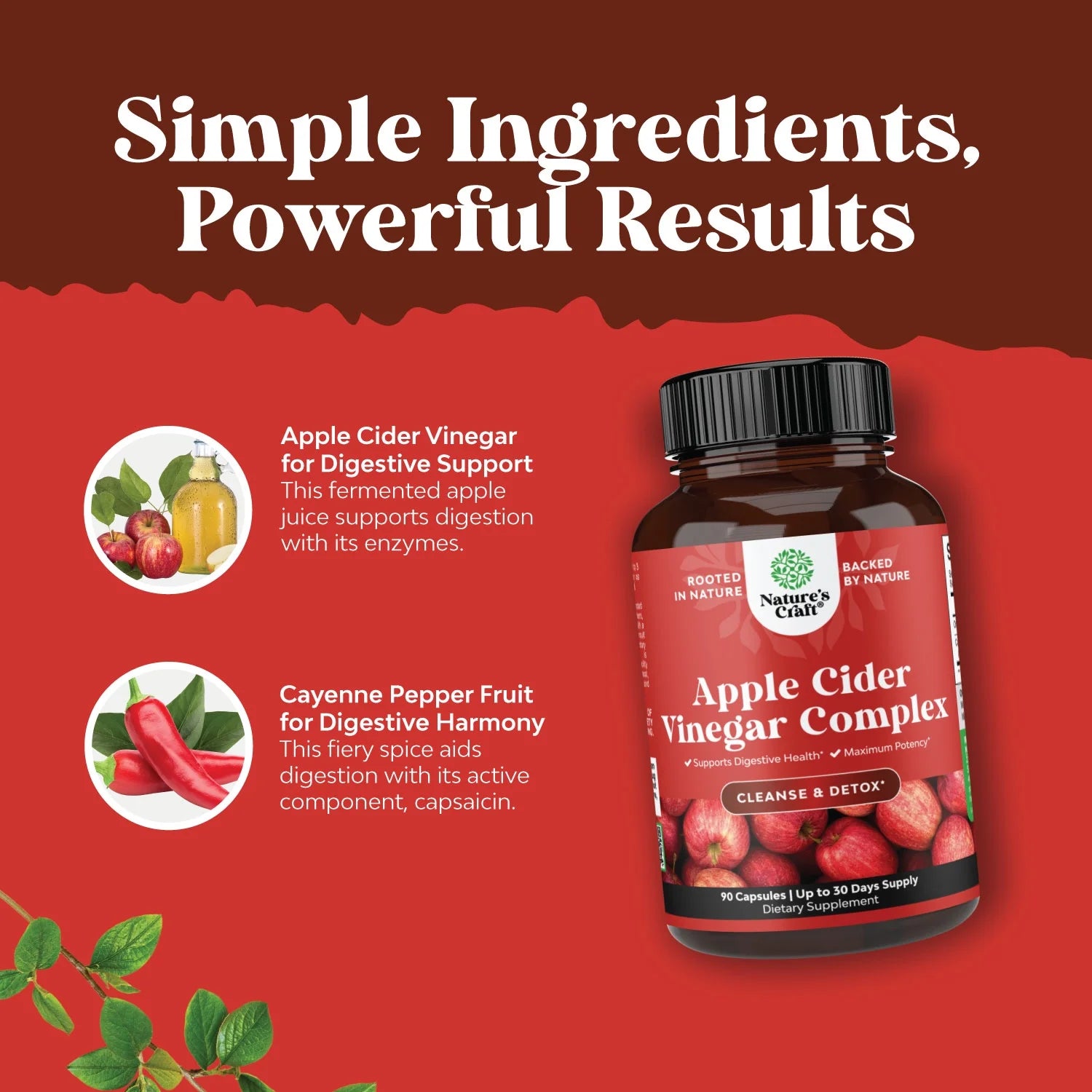 Apple Cider Vinegar Weight Loss Supplement Natural Detox Fat Burner Diet Pills Digestion Support Fast Acting Metabolism Booster Best Appetite Suppressant for Men and Women 90 Capsules