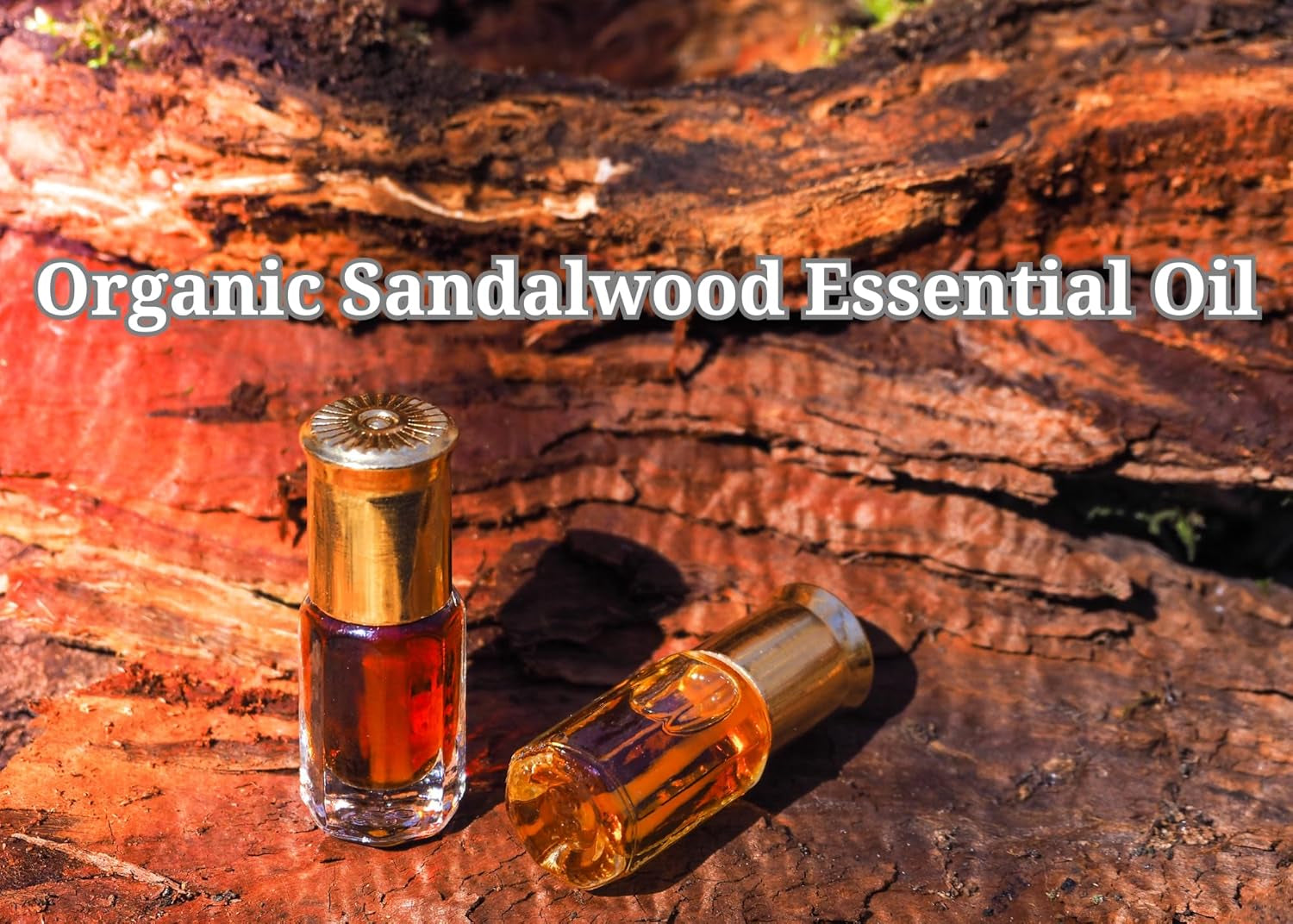 SWC Body Oils (Amber Sandalwood)
