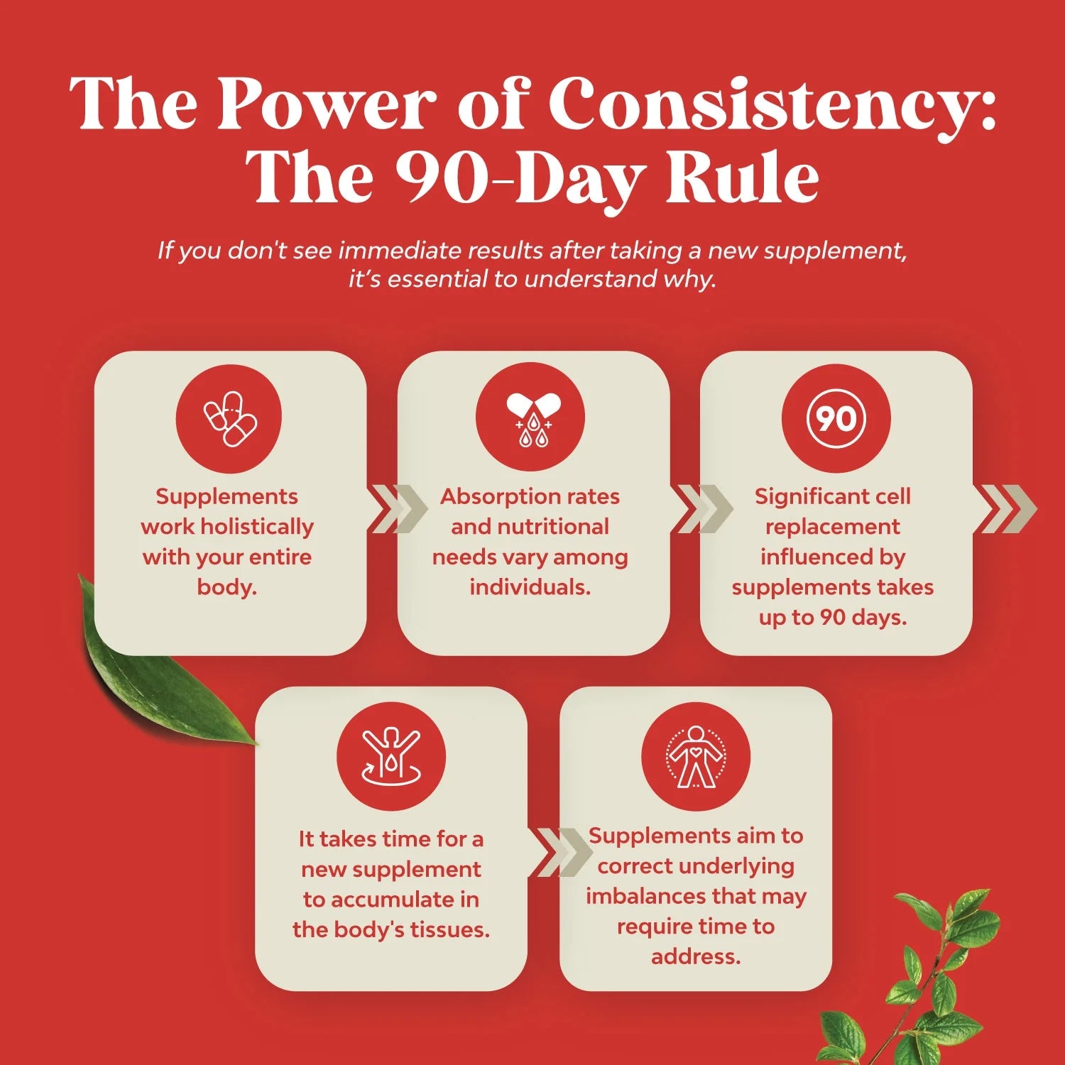 Apple Cider Vinegar Weight Loss Supplement Natural Detox Fat Burner Diet Pills Digestion Support Fast Acting Metabolism Booster Best Appetite Suppressant for Men and Women 90 Capsules