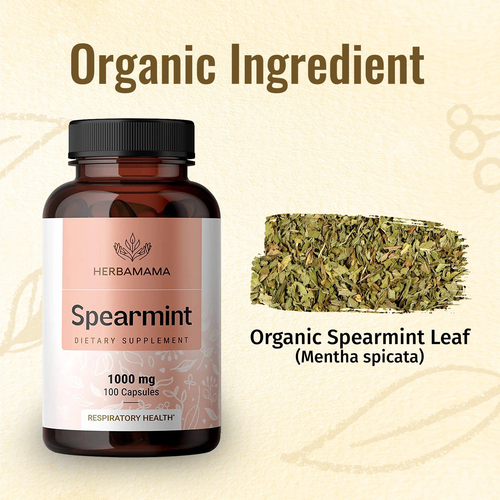 Spearmint Leaf - Organic Support for Respiratory & Digestive Health, 100 Caps