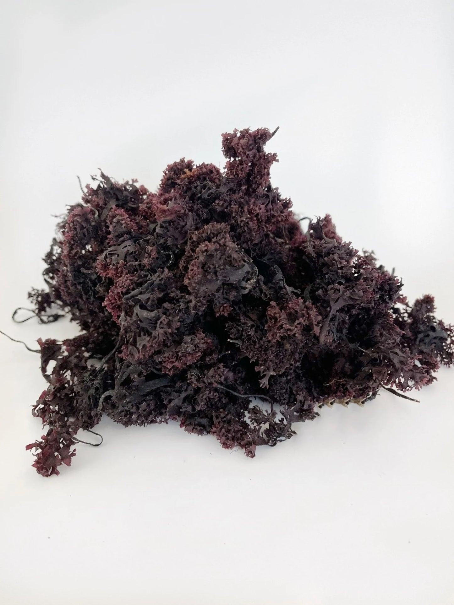 Purple Irish Sea Moss 100% Wildcrafted & Natural Chondrus Crispus - Organic Raw | Best Sea Moss for Gel & Smoothies | Vegan Diet, Clean & Sun Dried by No GMO - 1, 2 and 5 Lbs