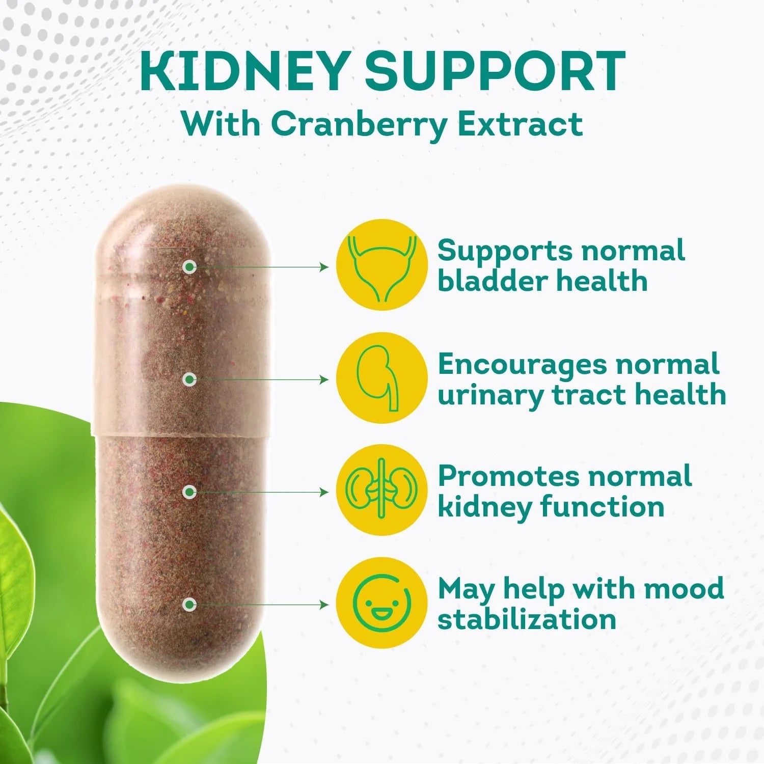 - Kidney Support with Cranberry Extract & Astragalus - Kidney Health Supplement for Urinary Tract, Bladder, Cleanse, Detox & Repair - 60 Cranberry Pills Women and Men