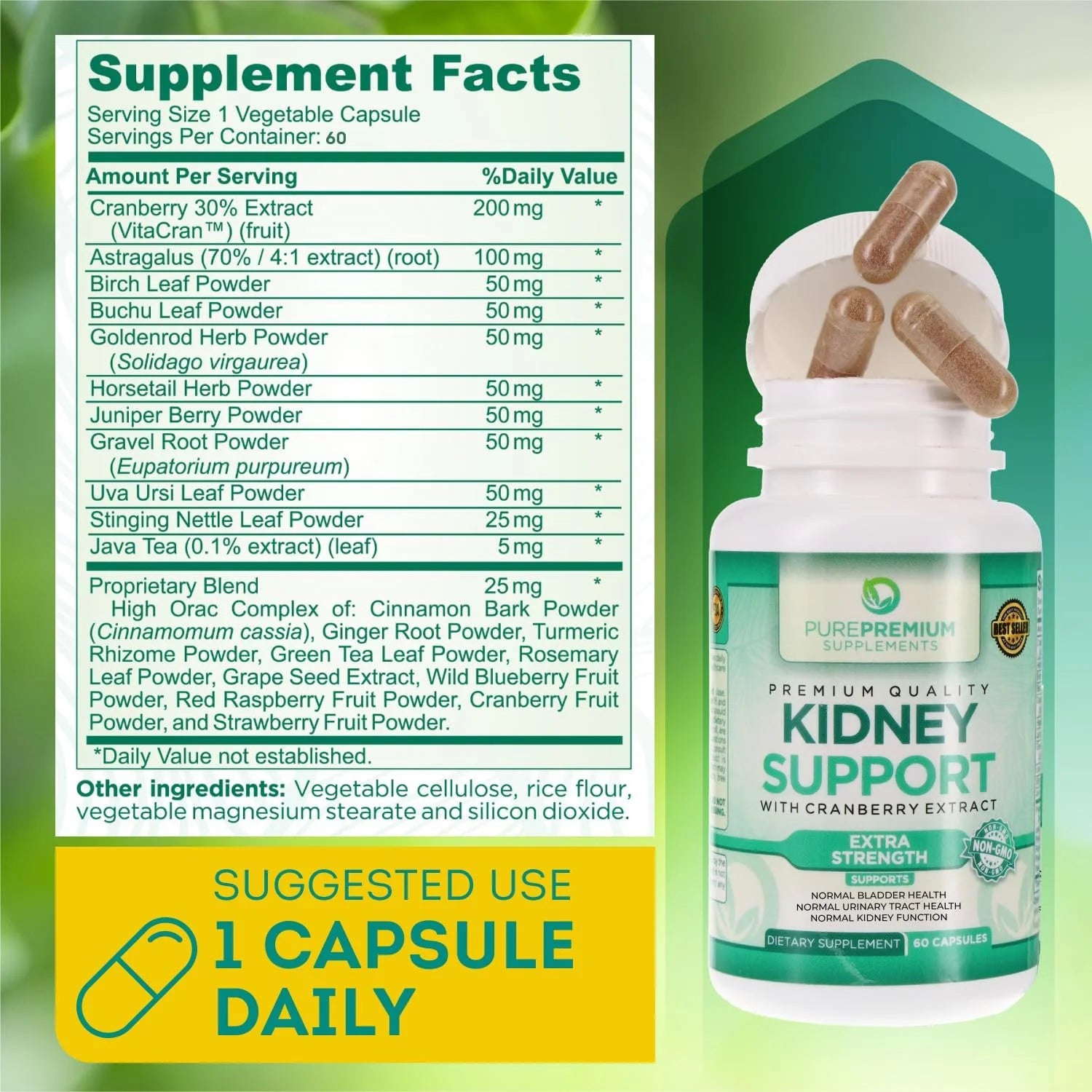 - Kidney Support with Cranberry Extract & Astragalus - Kidney Health Supplement for Urinary Tract, Bladder, Cleanse, Detox & Repair - 60 Cranberry Pills Women and Men