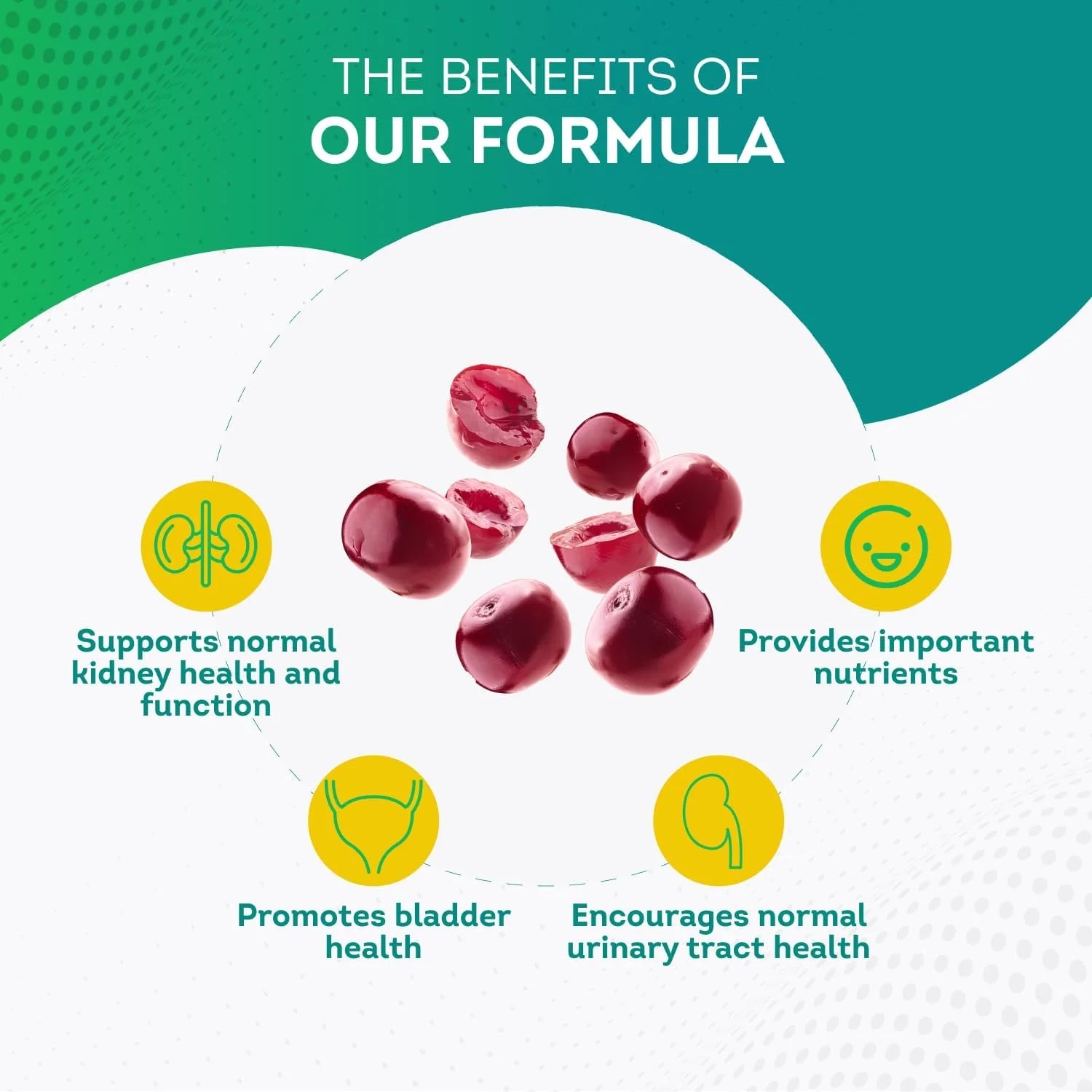- Kidney Support with Cranberry Extract & Astragalus - Kidney Health Supplement for Urinary Tract, Bladder, Cleanse, Detox & Repair - 60 Cranberry Pills Women and Men